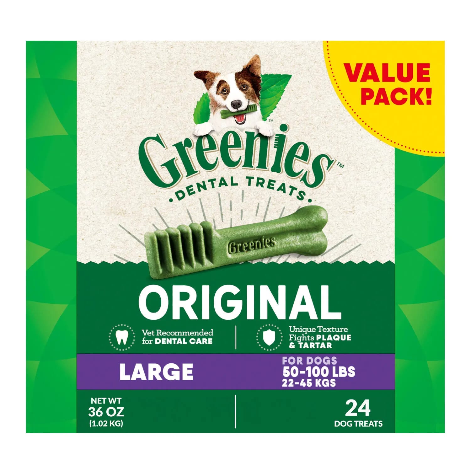 A dog chewing a Greenies dental treat on a living-room floor